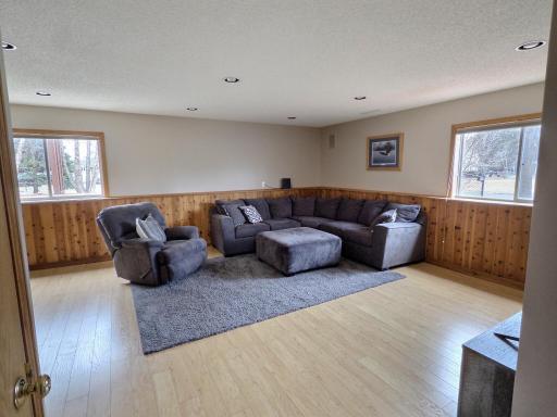 Family Room lower level