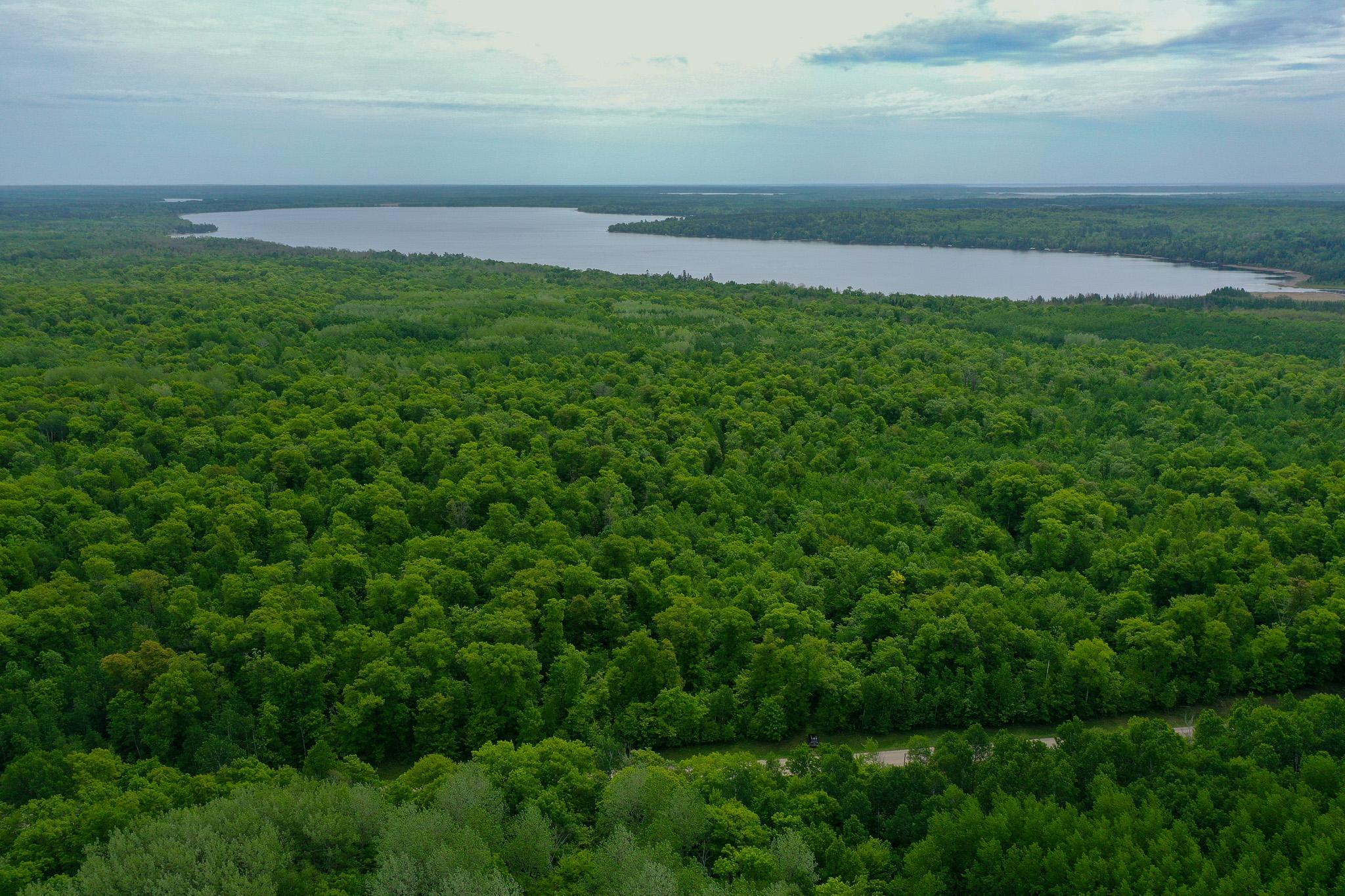 DJI_0682.jpg