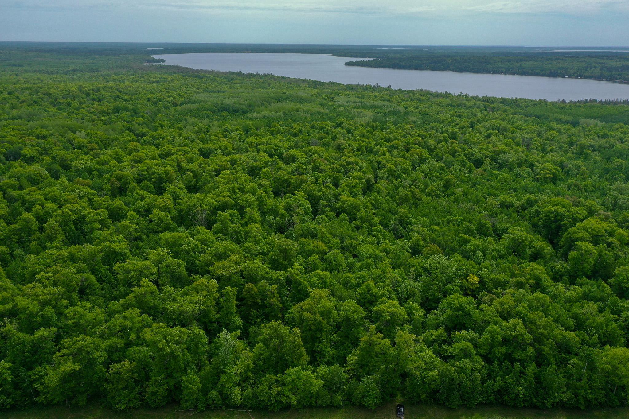 DJI_0690.jpg