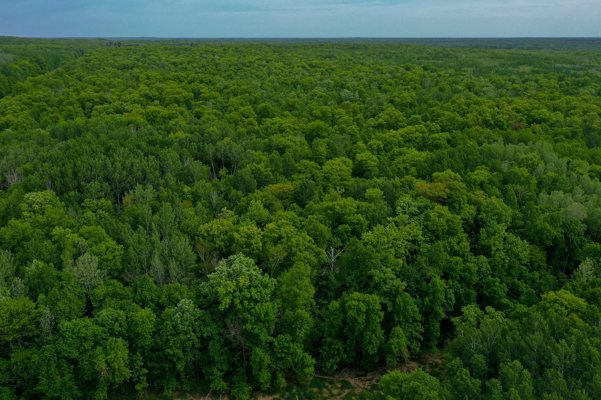 DJI_0686.jpg