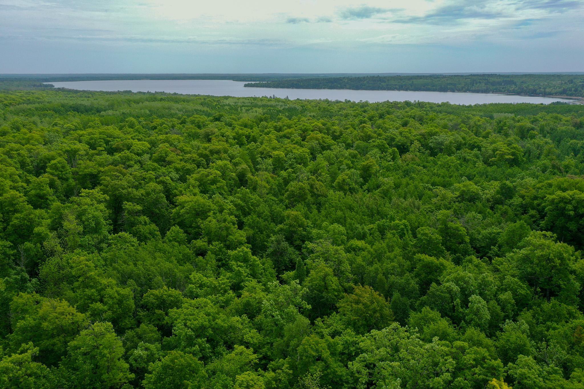 DJI_0689.jpg