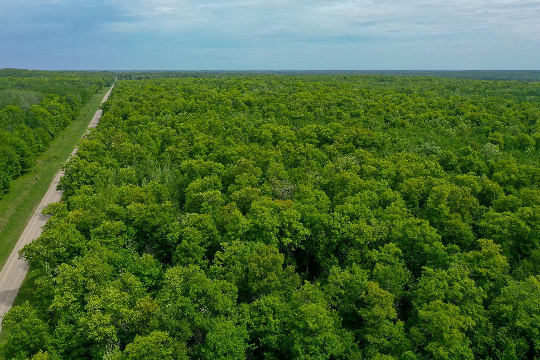 DJI_0688.jpg