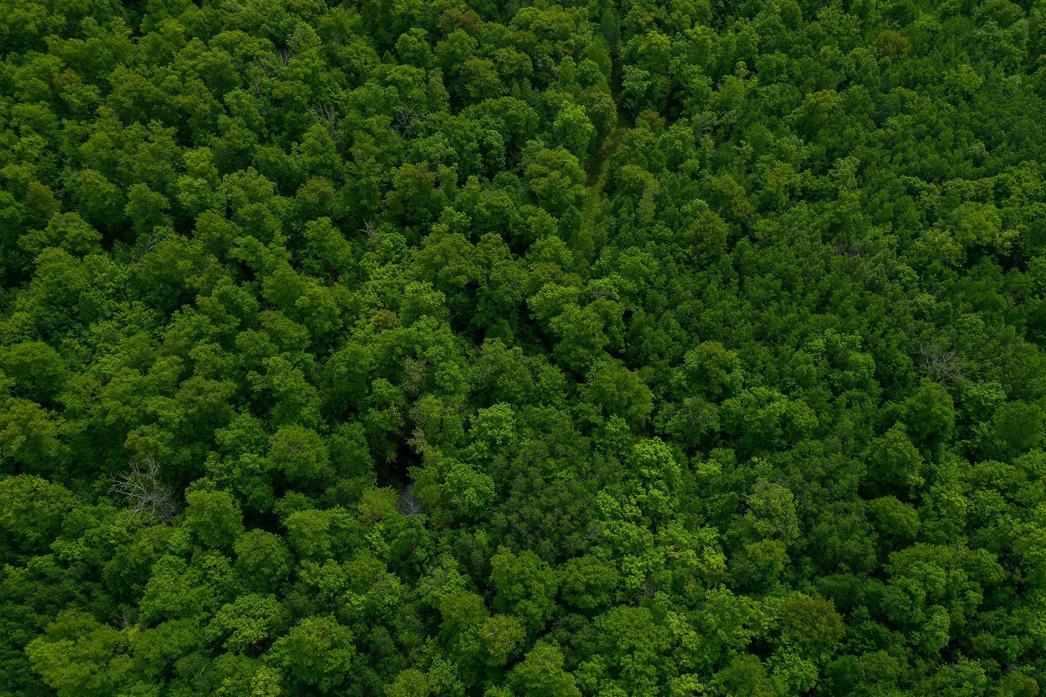 DJI_0691.jpg