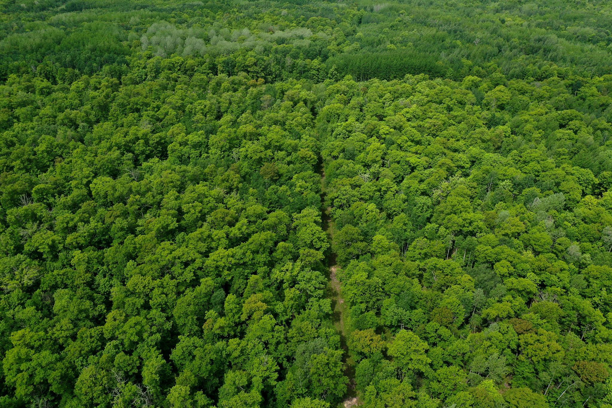 DJI_0693.jpg