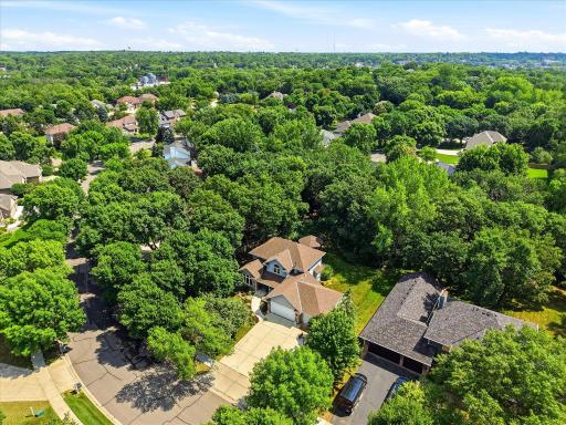 Private wooded backyard offers peaceful views and frequent wildlife sightings