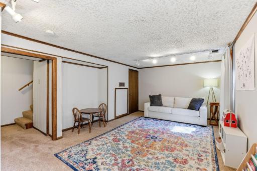 Expansive lower-level bedroom/ family room offering generous space for relaxing or entertaining.
