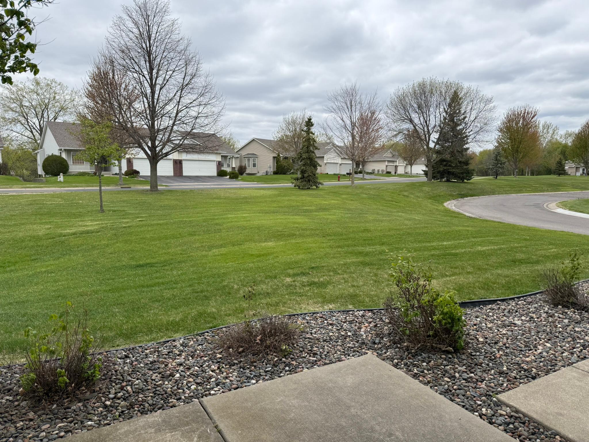 View from the patio