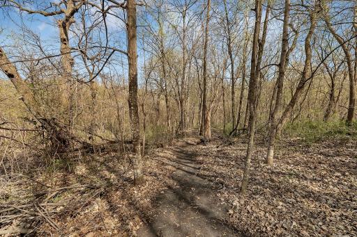 12951 Daisy Lane SW, Farwell, MN 56327