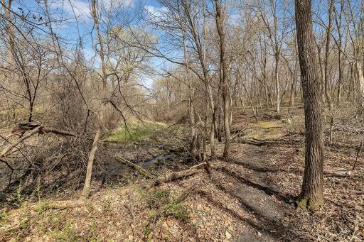 12951 Daisy Lane SW, Farwell, MN 56327