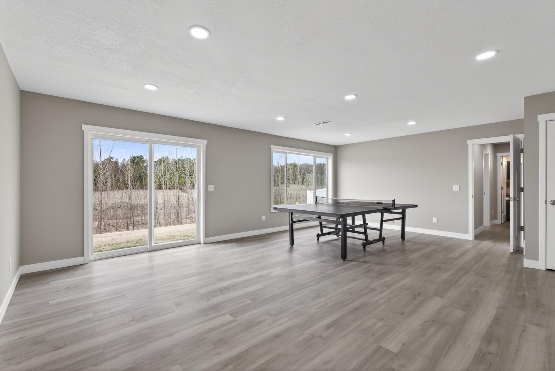 Lower Level Family Room