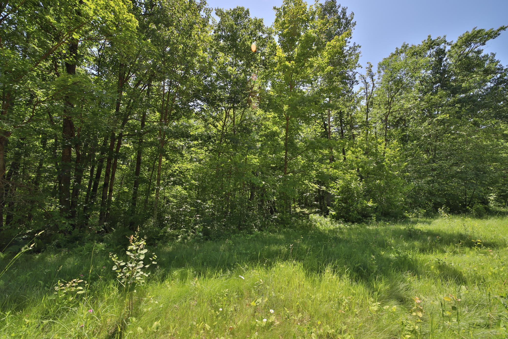 Property photo for Tract C Olander Road, Crosby, MN 56441