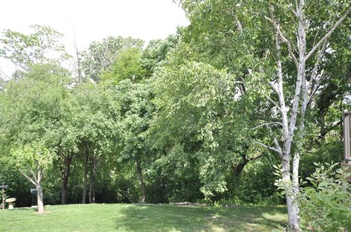 64 Conner Circle SW, Rochester, MN 55902