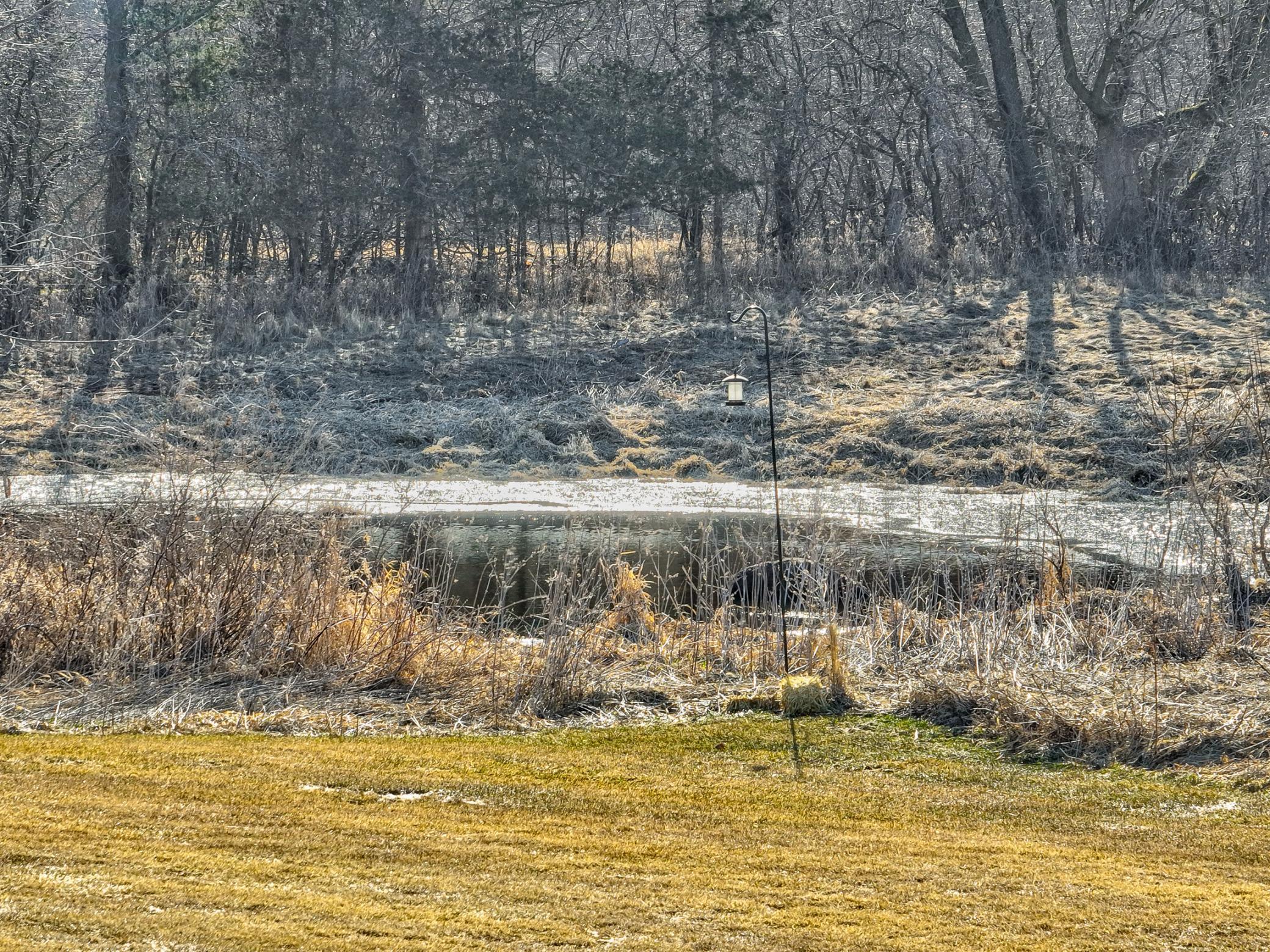 14415 49th St N-90.jpg