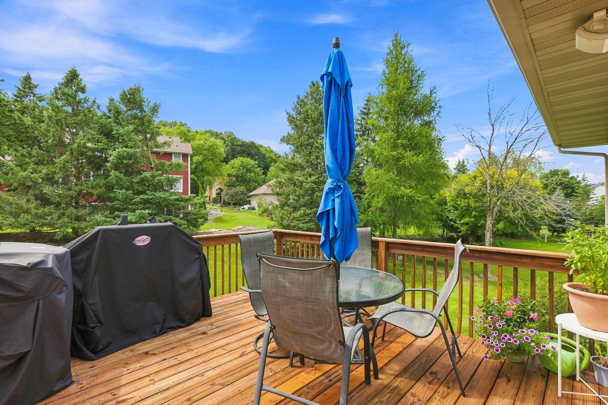 Year round privacy from these mature pines