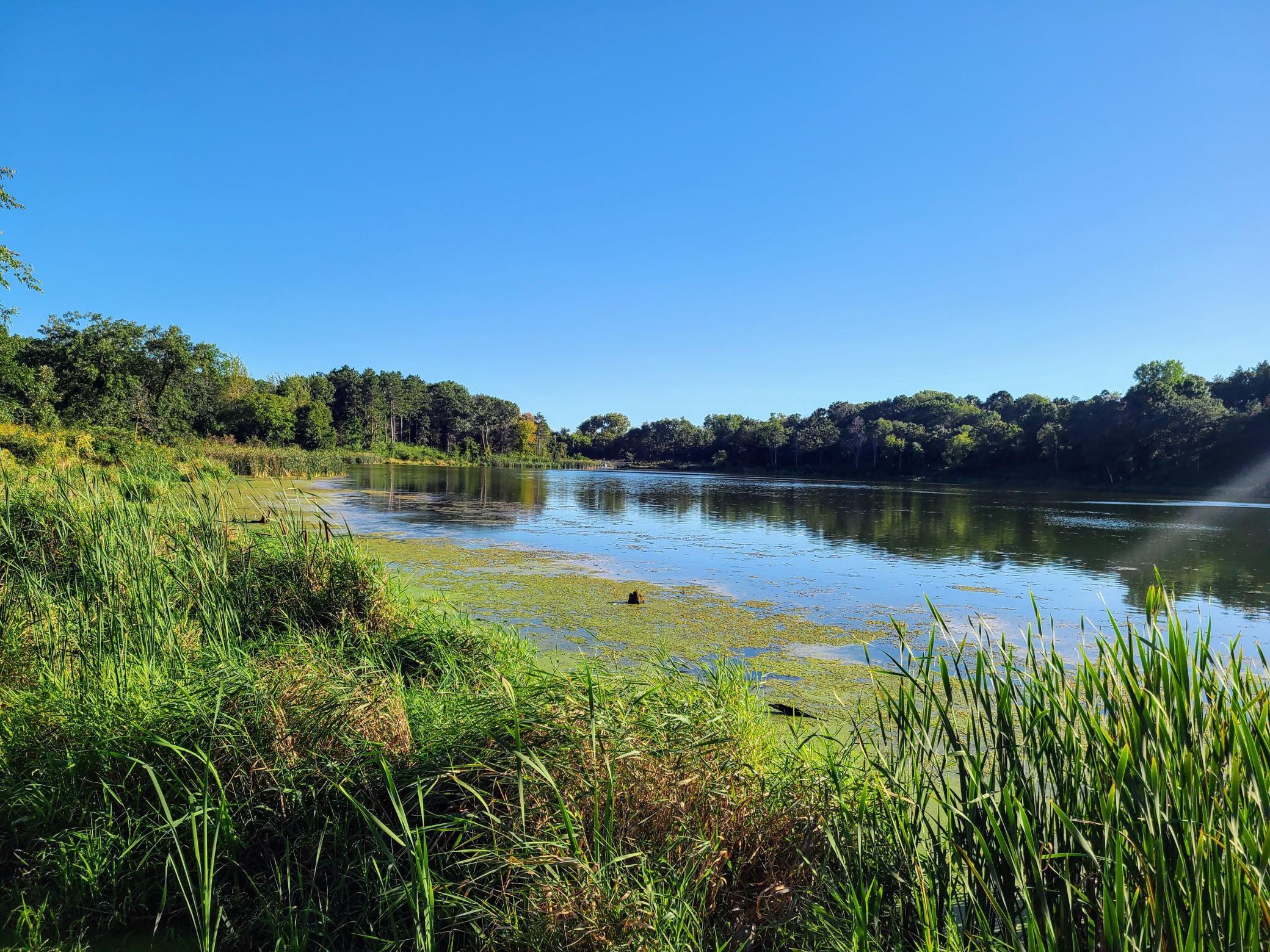 Cottage Grove Ravine Regional Park-wooded ravines, beautiful hills, cross-country skiing trails, and a lake. There are a variety of fun activities to do throughout the year.