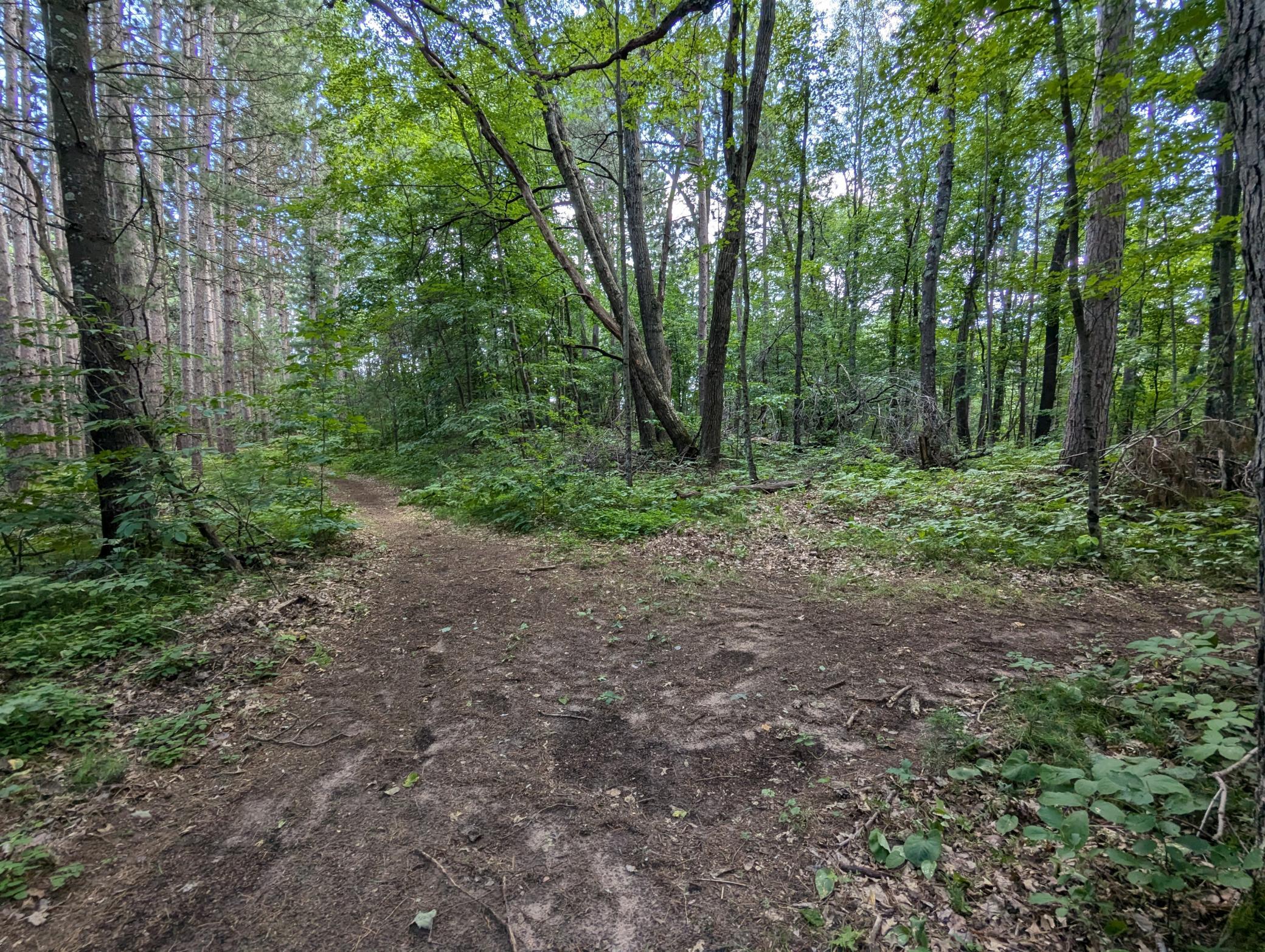 Property photo for Lot 2 Fosmo, Webster, WI 54893
