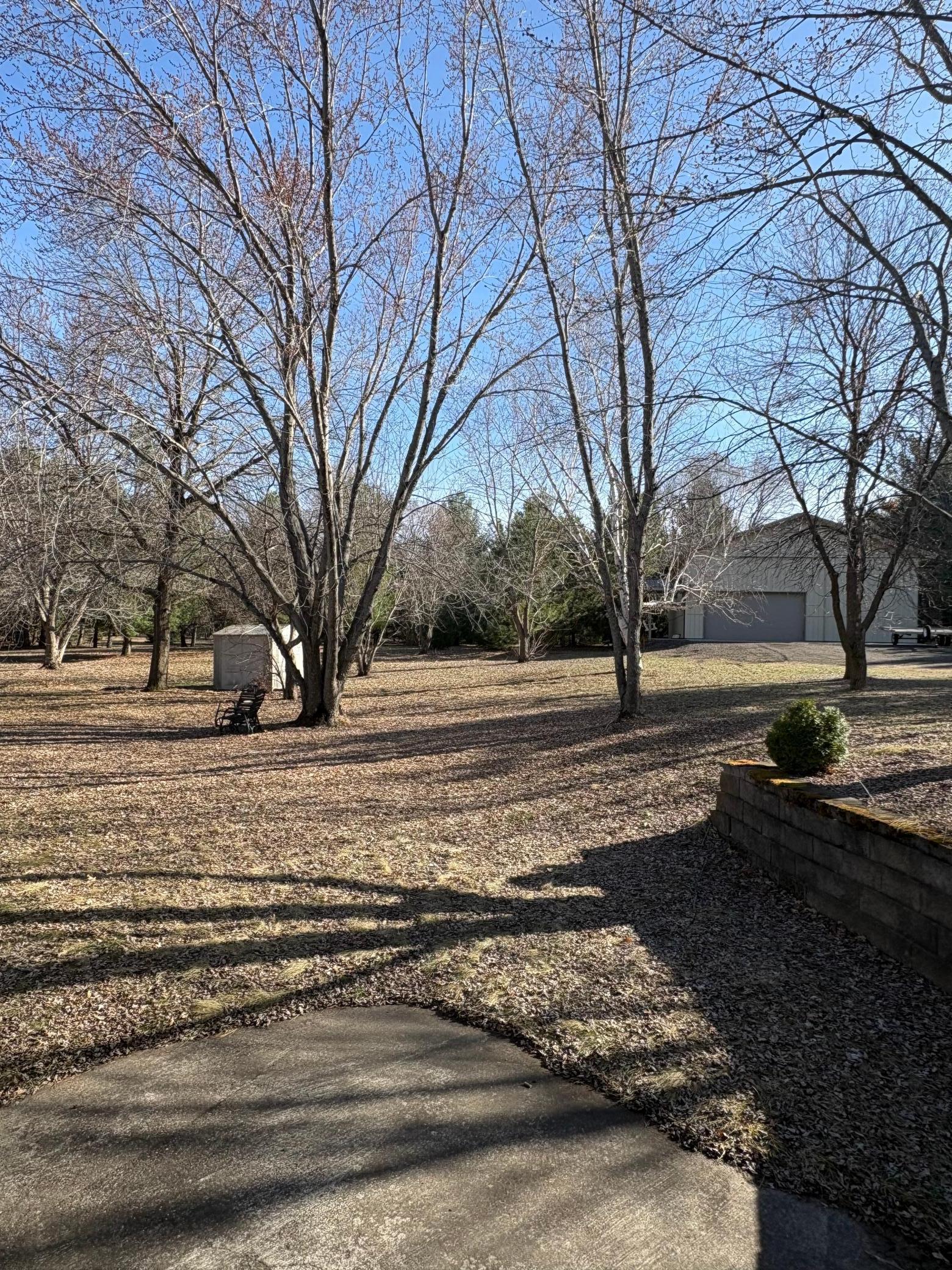 Beautiful Acreage...Nature Abounds!
Professional pictures to come!