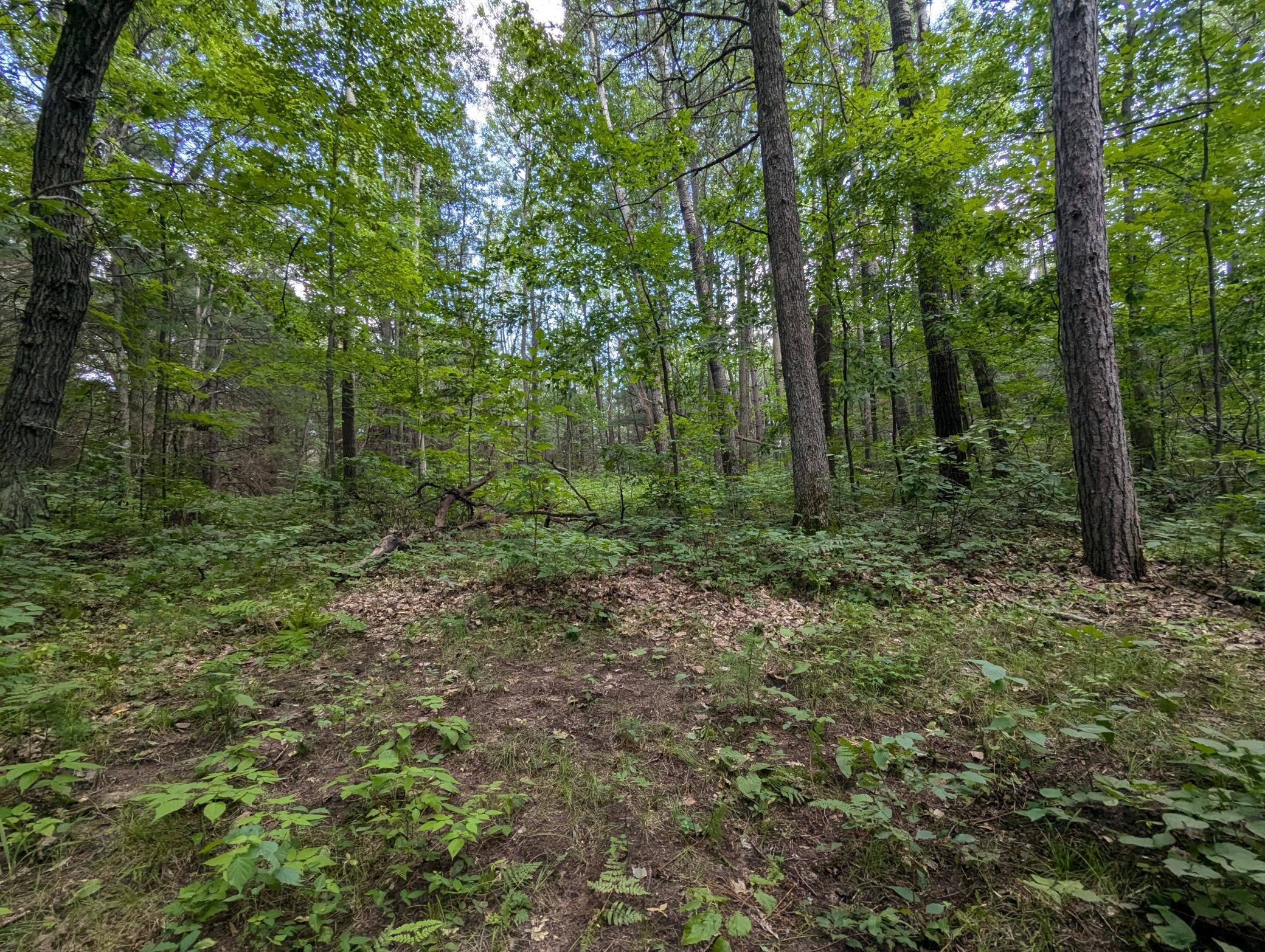 Property photo for Lot 3 Fosmo, Webster, WI 54893