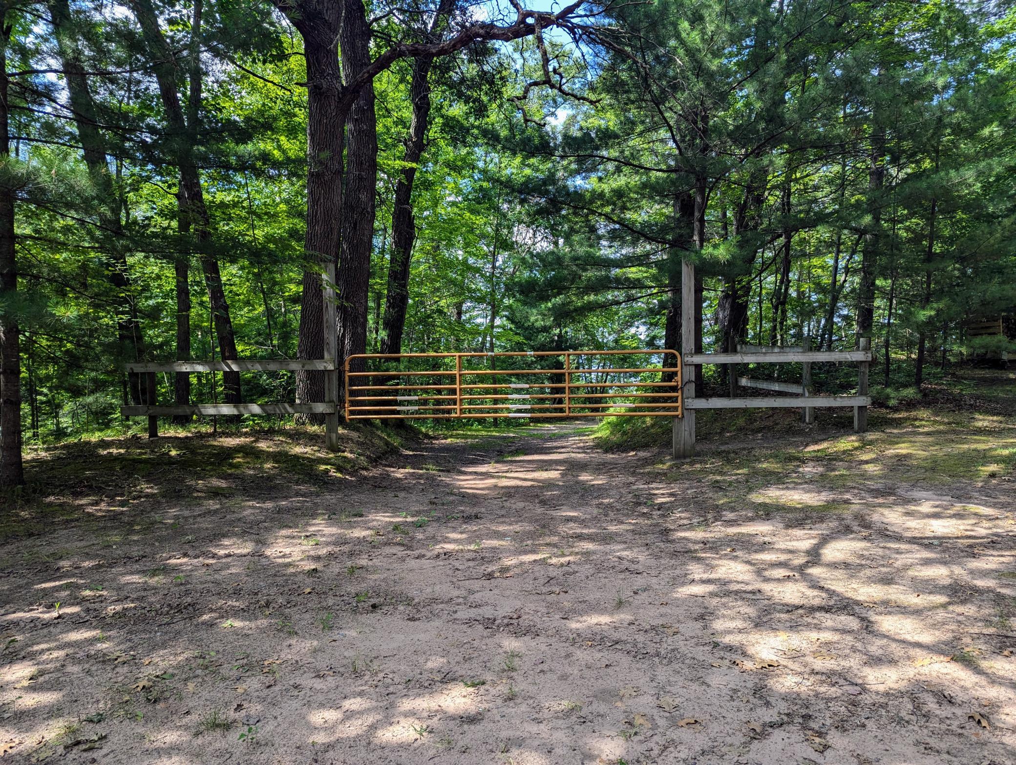 PXL_20240724_193526891.jpg