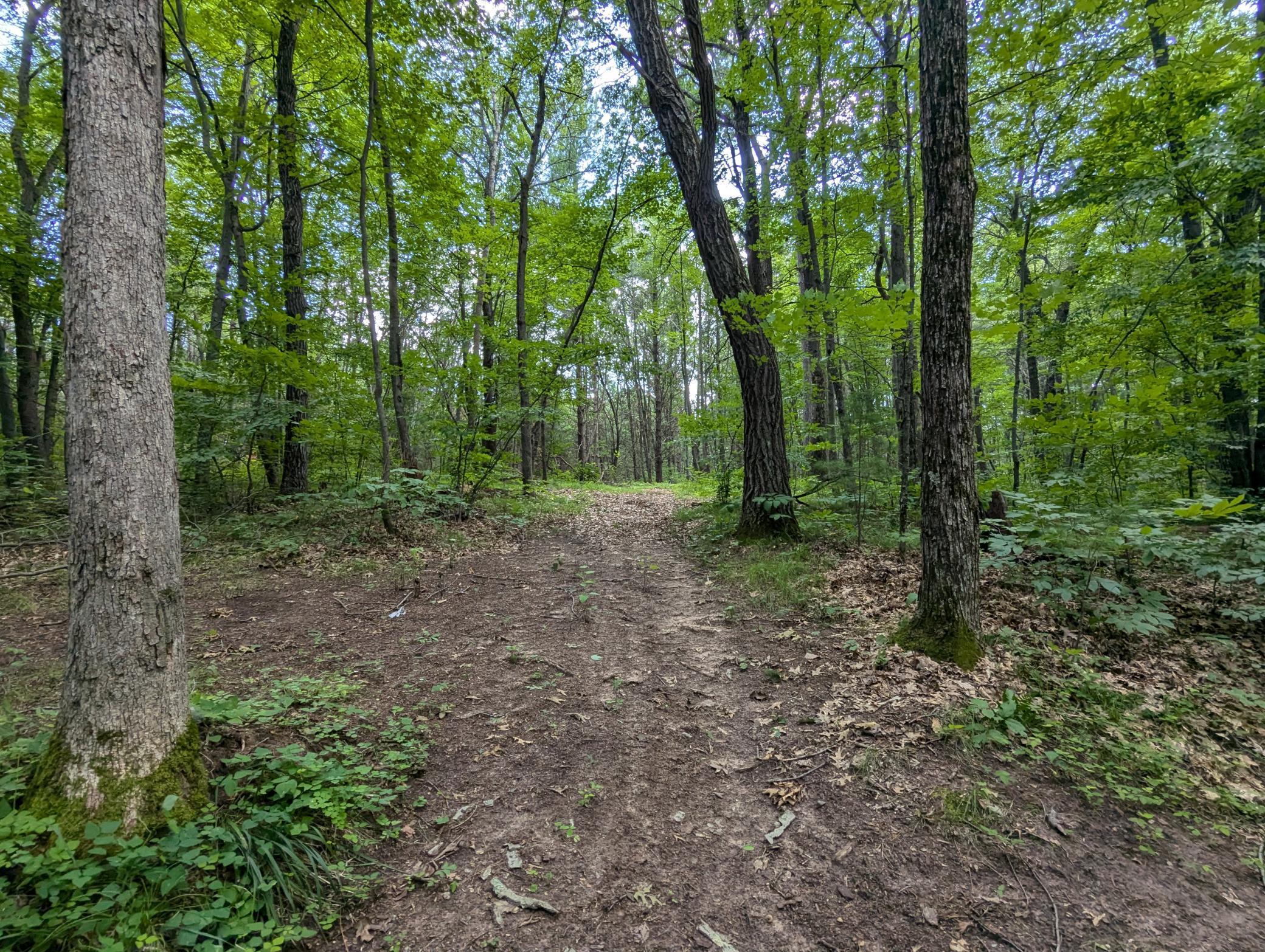 PXL_20240724_200145748.jpg