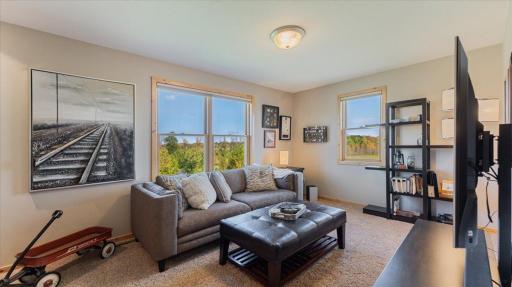 30381 Wildwood Rd, Ashby, MN 56309.Upper Level 3rd Bedroom or Den
