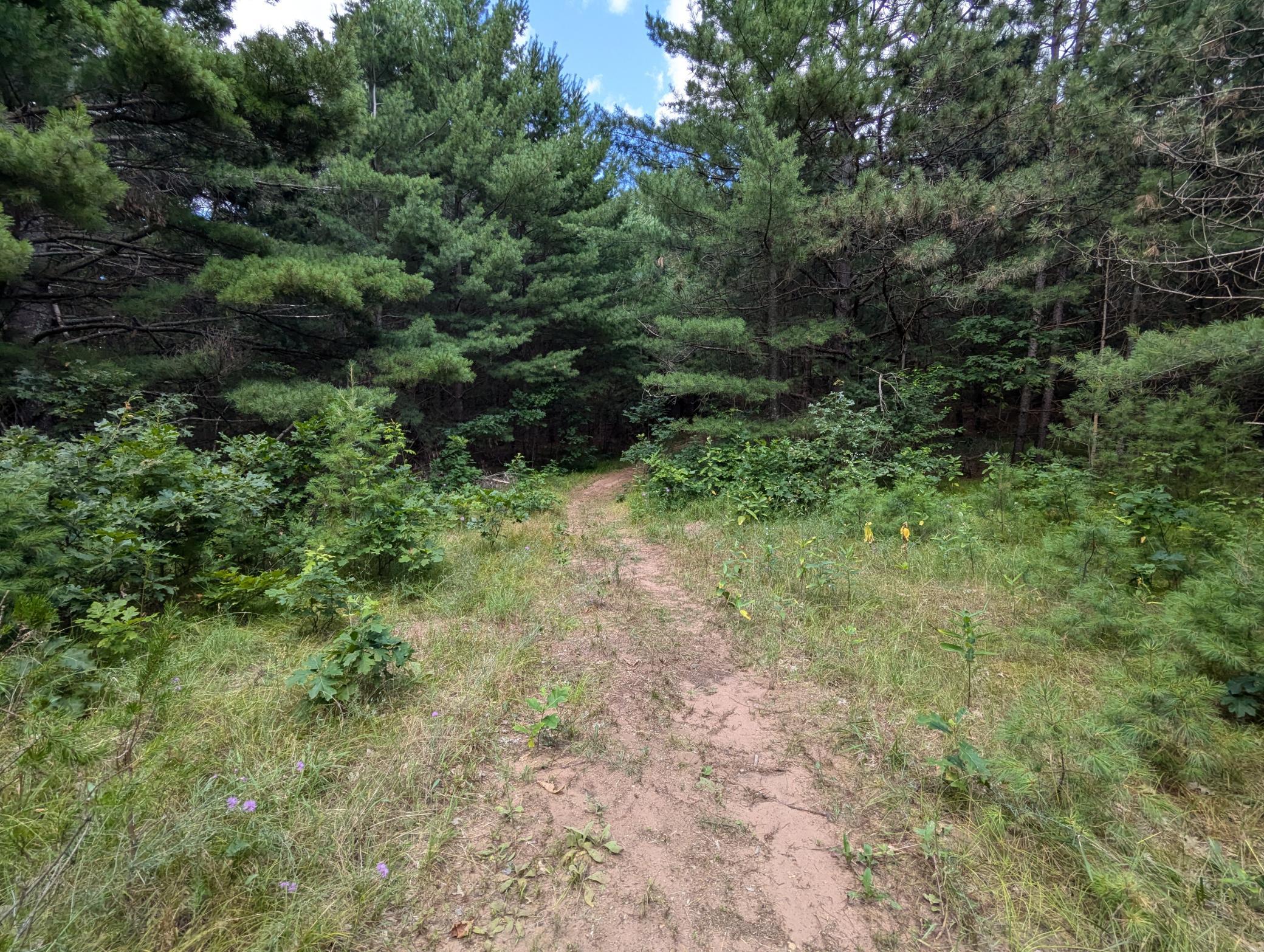 Property photo for Lot 5 Fosmo, Webster, WI 54893