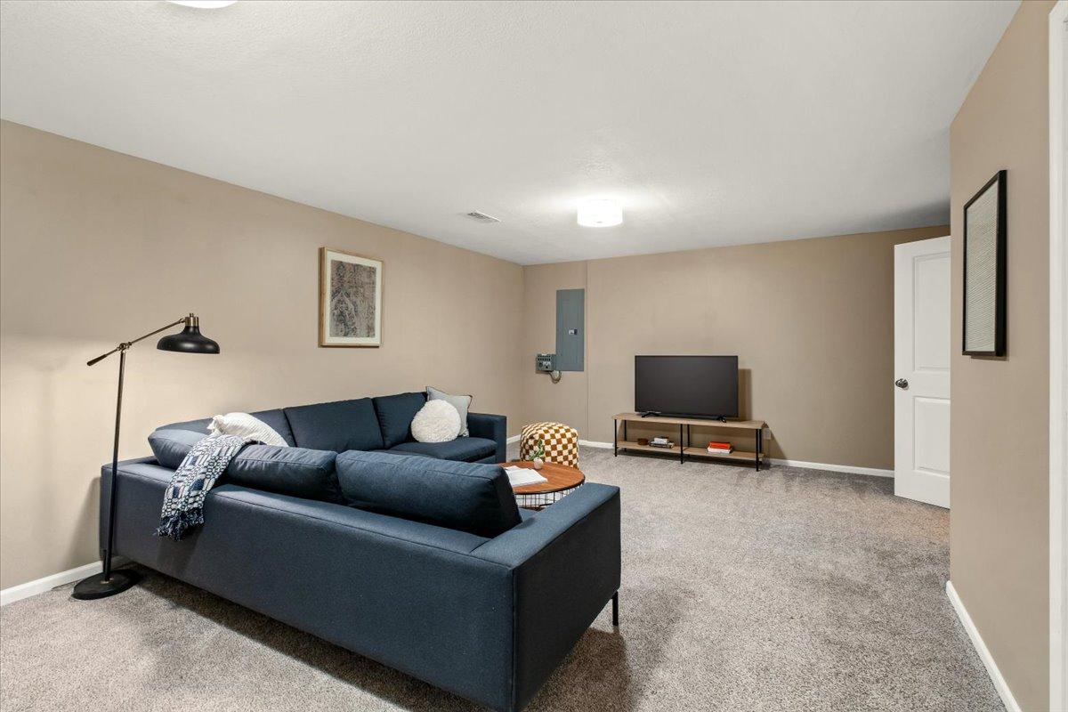 Lower level family room
