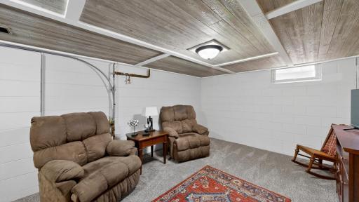 Lower Level Family Room