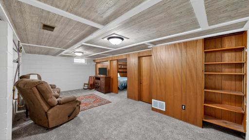 Lower Level Family Room
