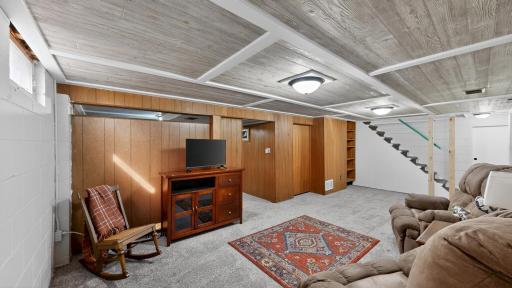 Lower Level Family Room