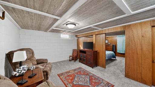 Lower Level Family Room