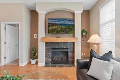 356 Andrews Bay, Hudson, WI - Beautiful gas fireplace in the living room