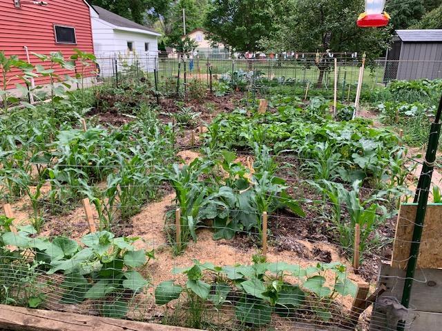 Vegetable garden