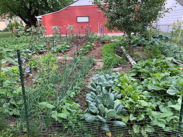 Vegetable garden
