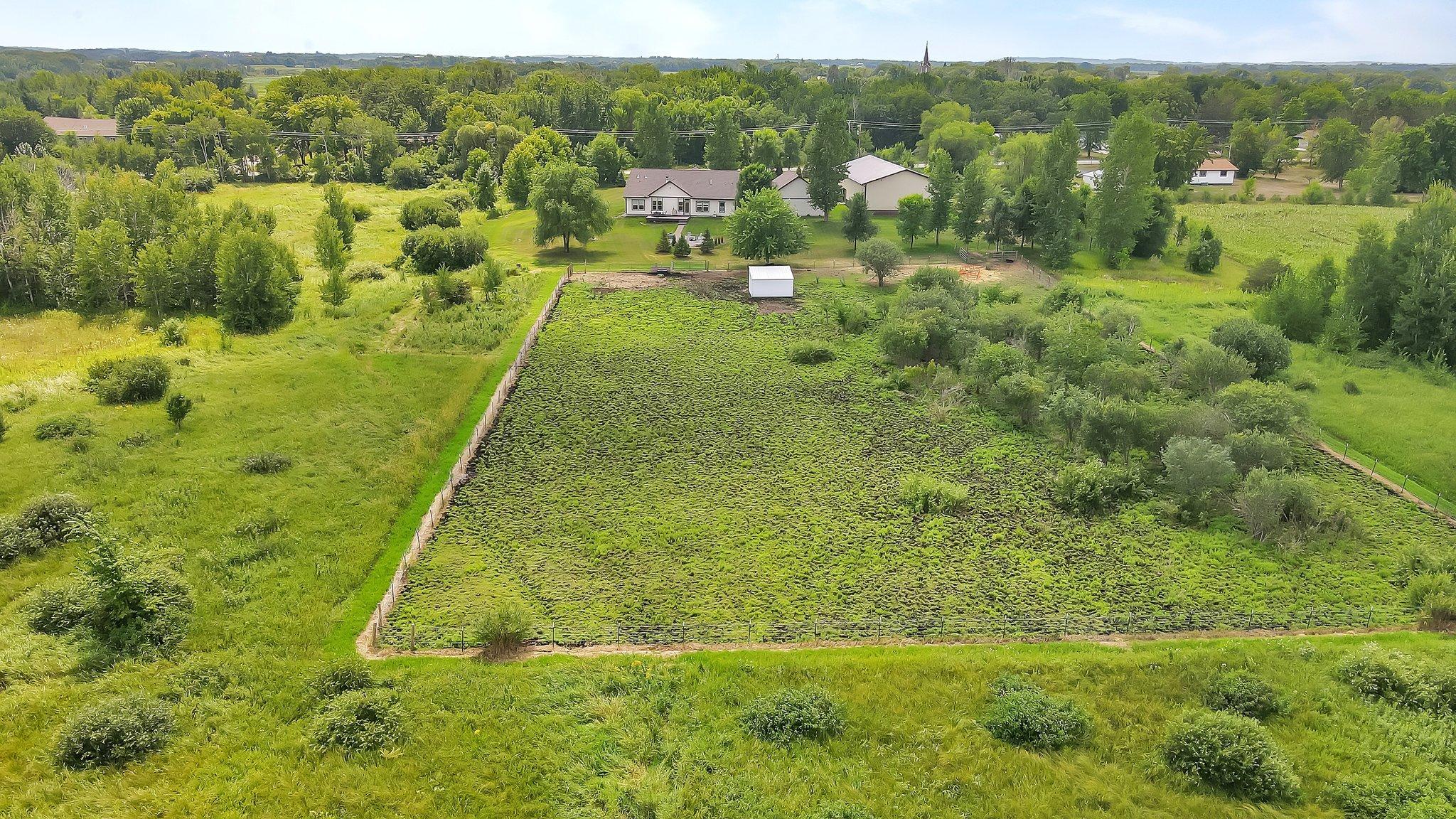 DJI_0737.jpg