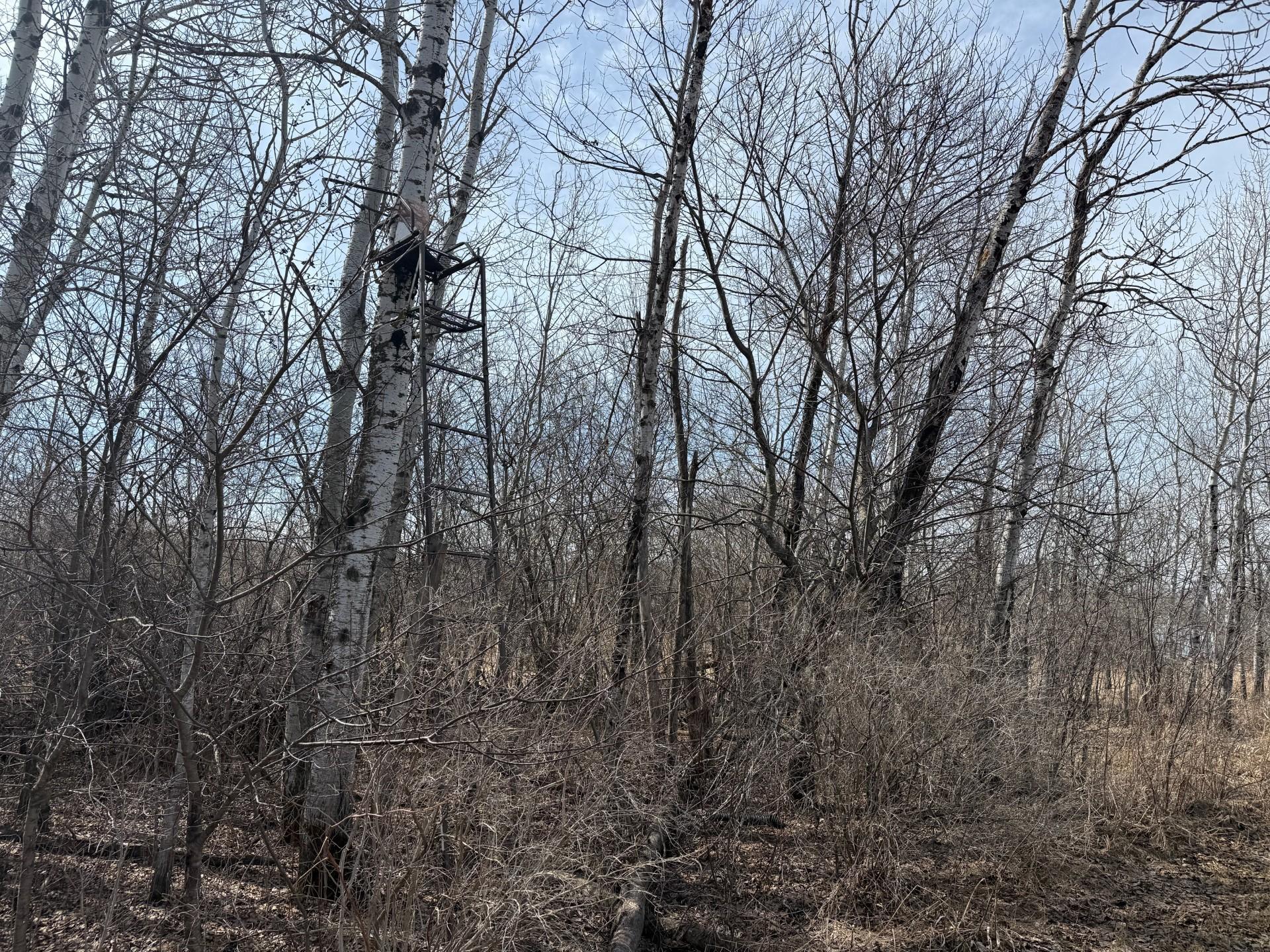 Deer stand.jpg