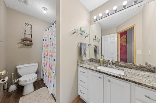 9821 Zinnia Lane N, Maple Grove, MN 55369