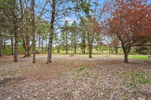 13428 311th Avenue, Princeton, MN 55371