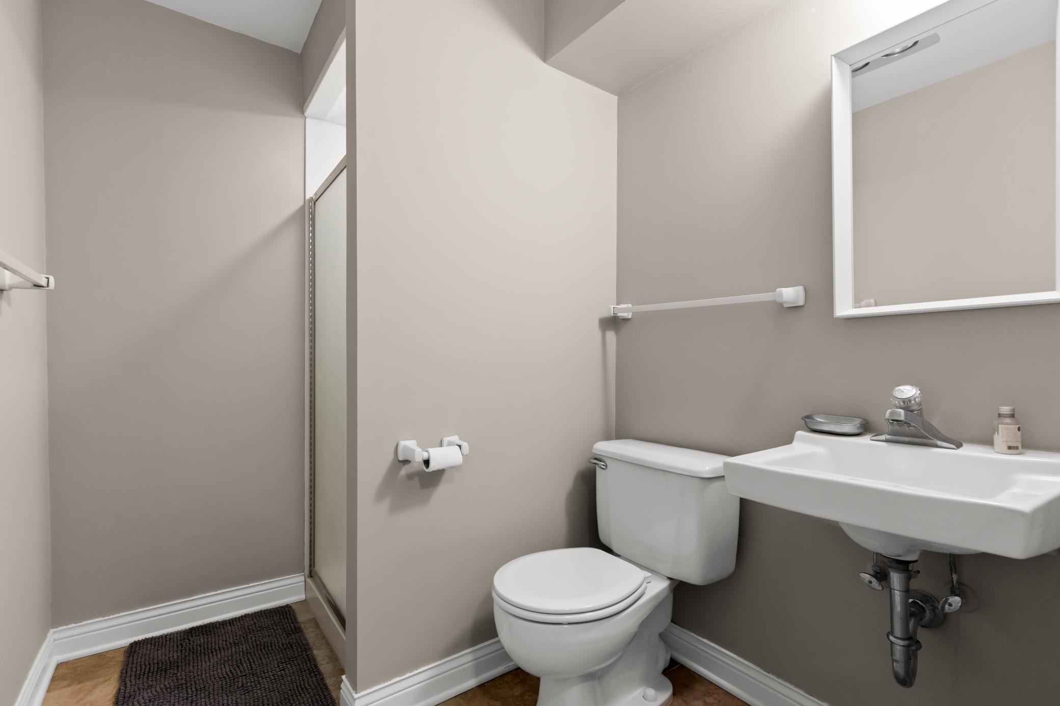 Lower level 3/4 bathroom