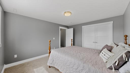 46 Lower Level Bedroom 5 w:large walk-in closet.jpg