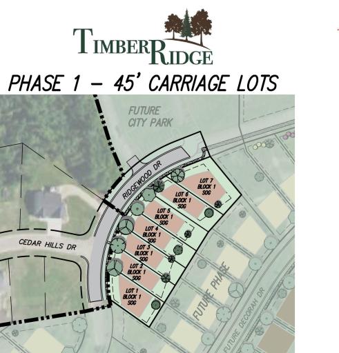 Timber Ridge Development plat - web villa 9-4-25.jpg