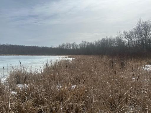 TBD TBD, Hill City, MN 55748