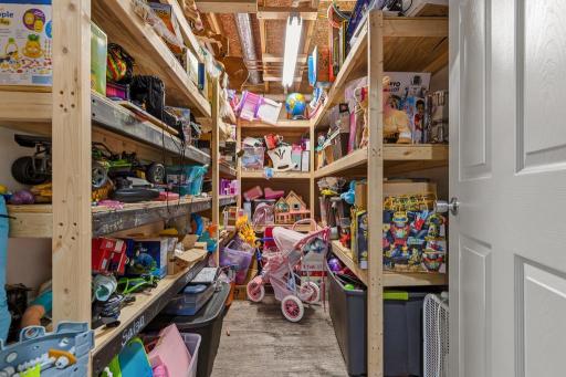 Who does not love a good storage/toy room?! Canned goods, tools, supplies, you name it!