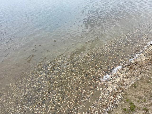 IMG_5115.jpeg