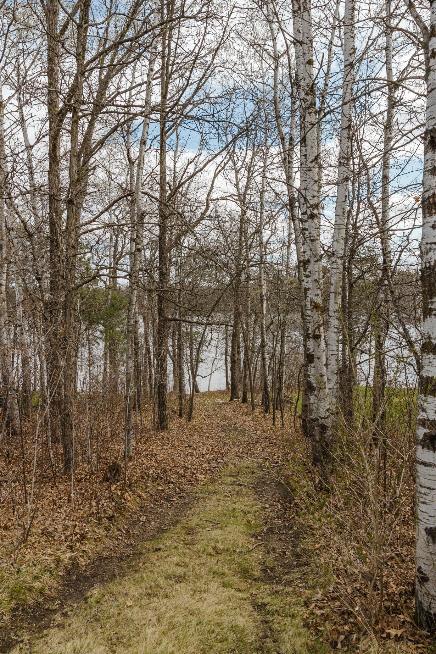 Shared Lake Access
