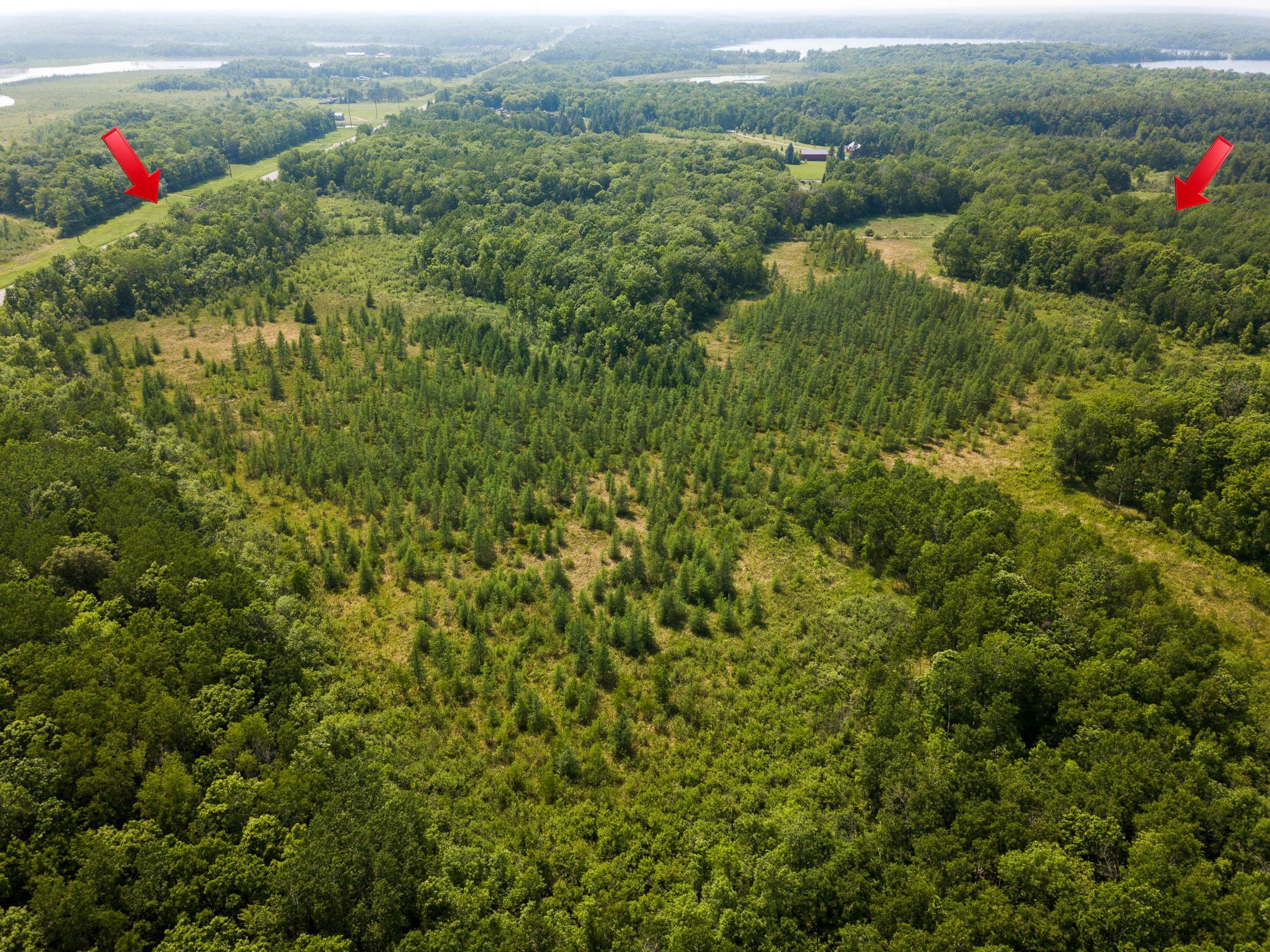 Looking West 1.jpg