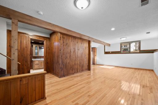 Lower level family room