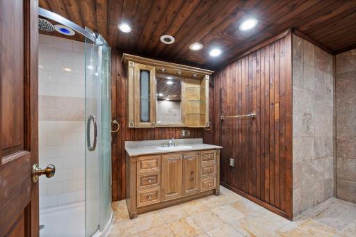 Lower level bathroom