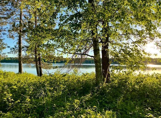 TBD Variety Lake Dr NW