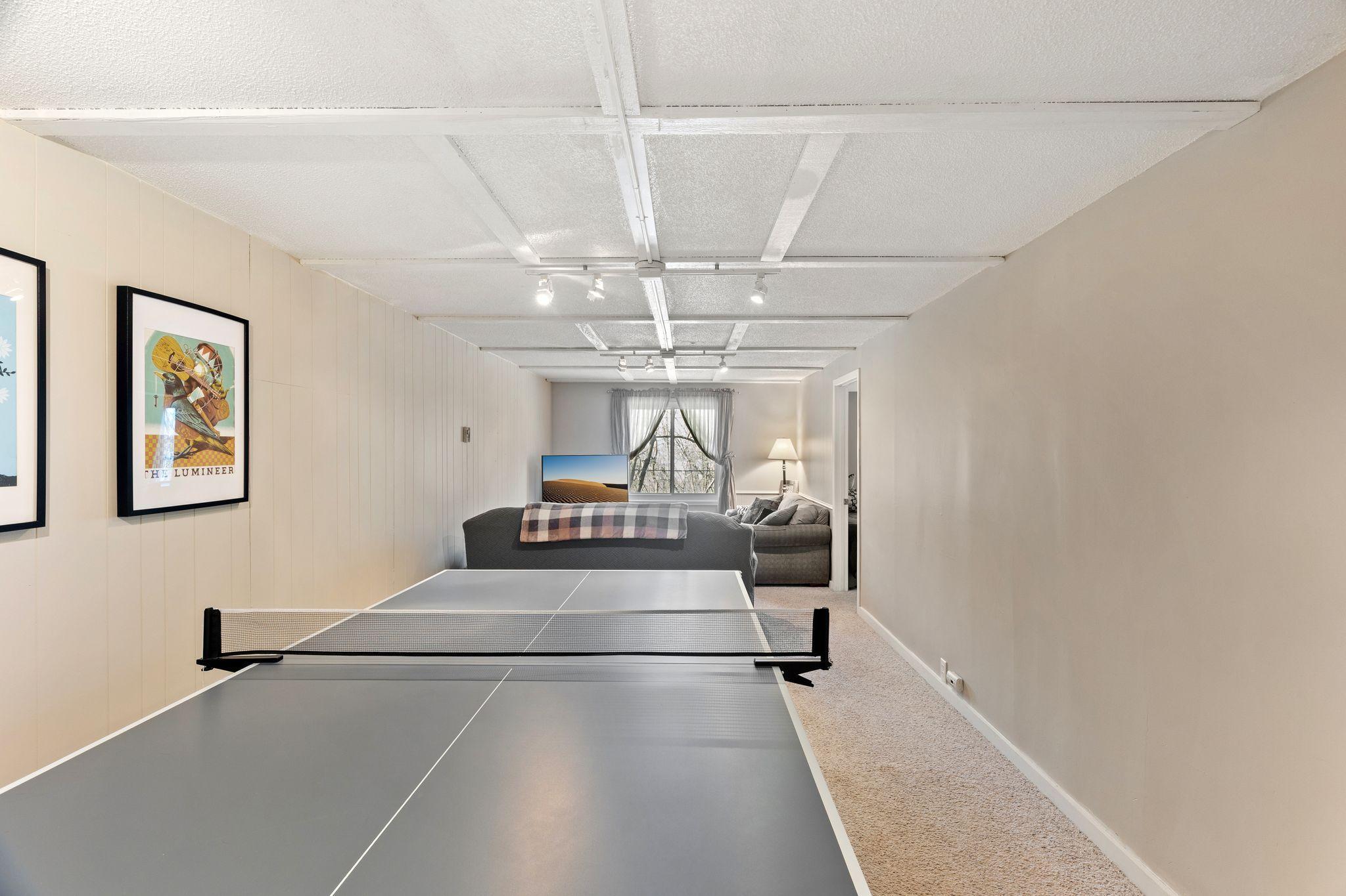 Large lower level family room